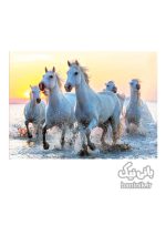 پازل 1000 تکه ادوکا طرح اسب های سفید Educa WHITE HORSES Puzzle،پازل،ادوکا، پازل 500 تکه،پازل خوب،پازل نوجوان،پازل چی بخرم،پازل برای ده سال, کادو پازل Educa,Puzzl