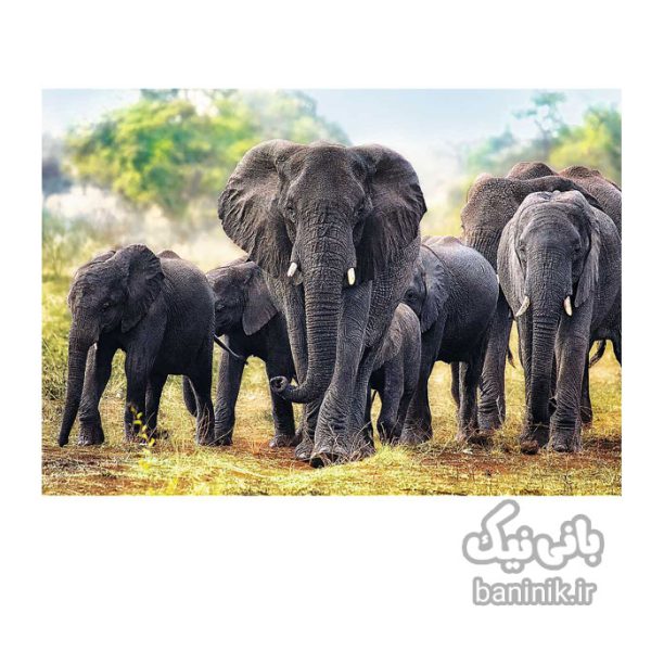 پازل 1000 تکه ترفل طرح فیل های آفریقایی Trefl African Elephants Puzzle،پازل،ترفل، پازل 1000 تکه، 10442 ،خرید پازل در مشهد،پازل چی بخرم،کادو پازل,Puzzl