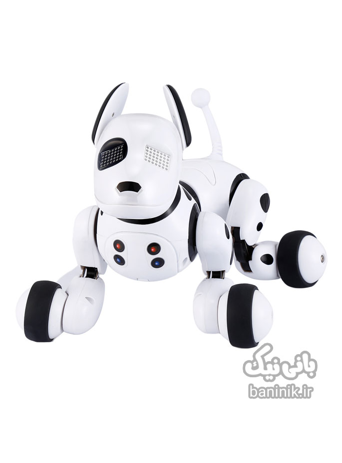 ربات اسباب بازی سگ هوشمند Robot Dog 9007A،ربات،ربات اسباب بازی،ربات هوشمند،ربات کنترلی،حیوان خانگی رباتیک،خرید و قیمت ربات کنترلی،سگ کنترلی