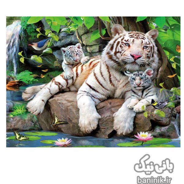 پازل 1000 تکه ادوکا طرح ببر سفید بنگال EDUCA White Tigers of Bengal Puzzle 14808،قیمت و خرید پازل،قیمت پازل ایرانی،پازل ادوکا،پازل پسرانه،پازل دخترانه،پازل بزرگسال،پازل فروشی در مشهد