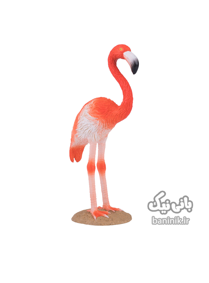 فیگور موجو سری فلامینگو آمریکایی Mojo American Flamingo Figure
